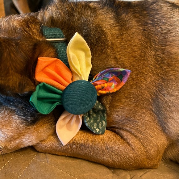 Handmade flower for dogs/cats - Picture 2 of 12